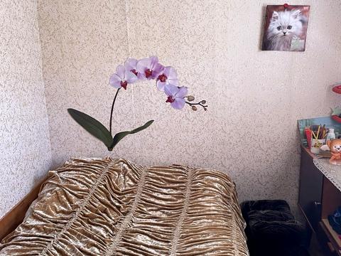 дом по адресу п. Садовое, немає