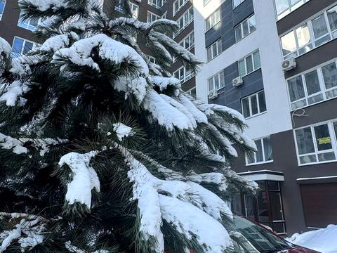 квартира по адресу Выговского ул. (Суворова), 2-Д/2