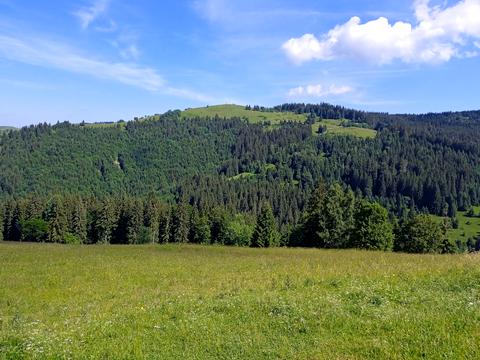 комерційна за адресою Шипітська 3, 3