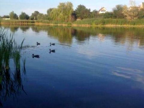 дом по адресу Лесная ул.