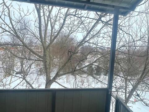 дом по адресу Іваниківська