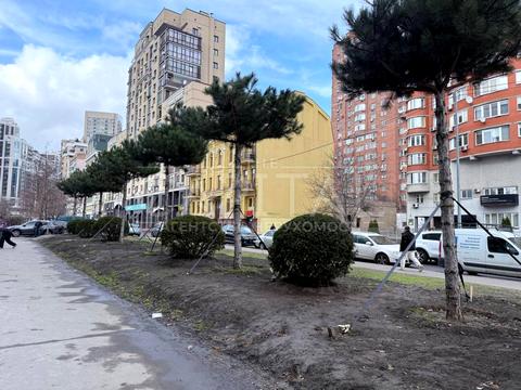 коммерческая по адресу Златоустовская ул., 3