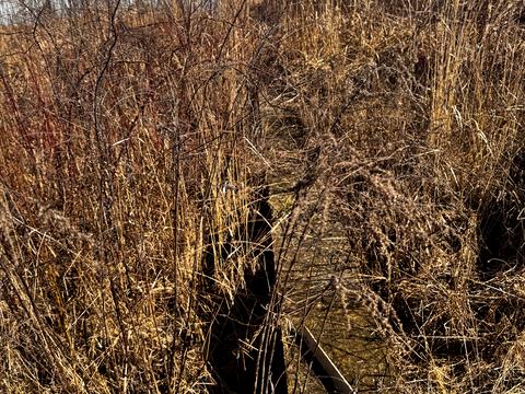 участок по адресу 20 років Незалежності, 1