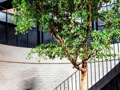 коммерческая по адресу Олеся Гончара ул., 15