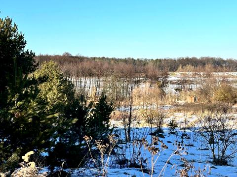 участок по адресу с. Жорниска, 