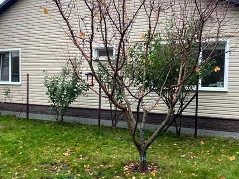 будинок за адресою с. Лиманка, Кооператив Енергетик