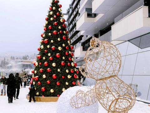 квартира за адресою с. Поляниця, урочище Щивки вул., (Будинок)
