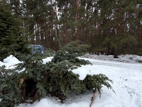 дом по адресу Лісова