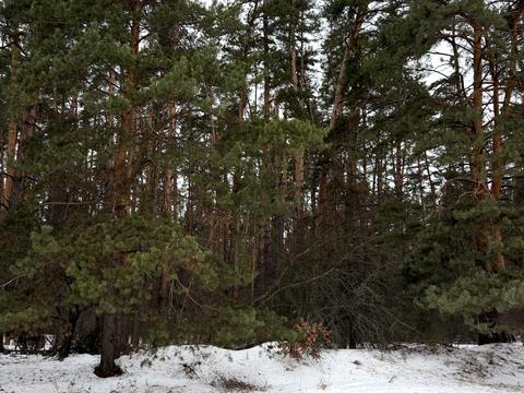 дом по адресу Лісова