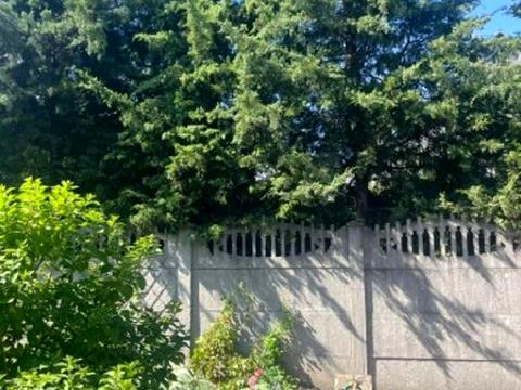 дом по адресу Ялтинская ул.