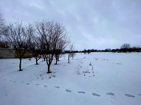 участок по адресу садова, 85