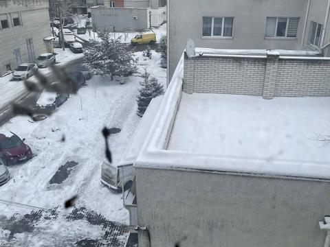 квартира по адресу Роксоланы ул., 61