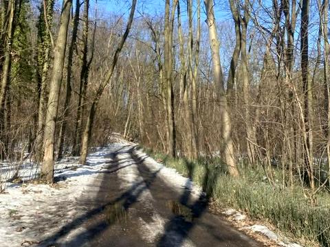 участок по адресу Винница ул.