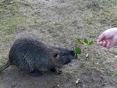 участок по адресу Винница ул.