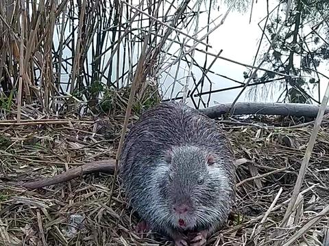 участок по адресу Винница ул.