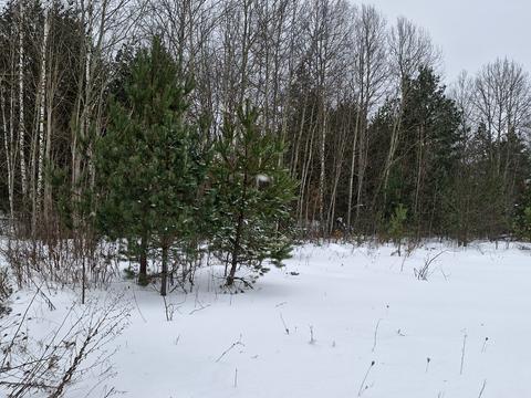 будинок за адресою Центральна