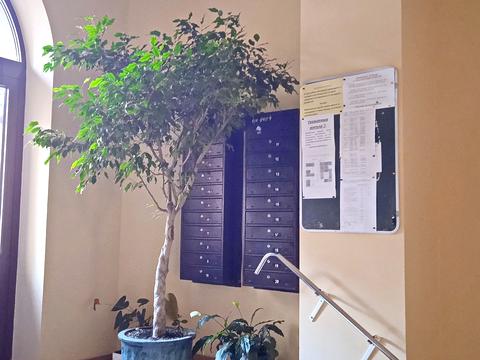 квартира за адресою Пріорська вул. (Полупанова), 10