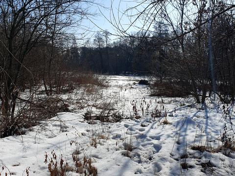 ділянка за адресою Хмельницьке шосе