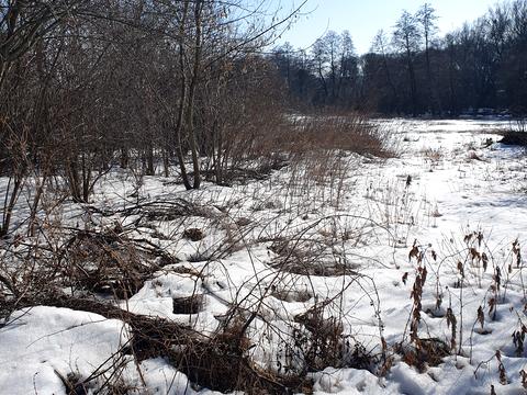 участок по адресу Хмельницьке шосе
