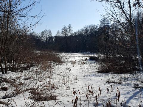 участок по адресу Хмельницьке шосе