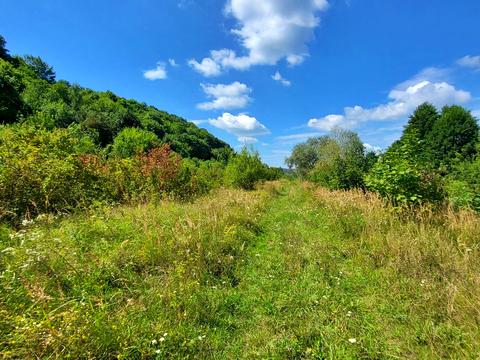 участок по адресу Підгірна