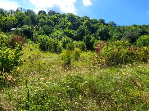 участок по адресу Підгірна