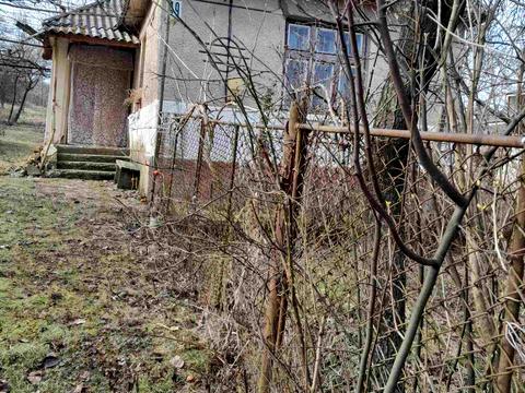 будинок за адресою Голика, 49