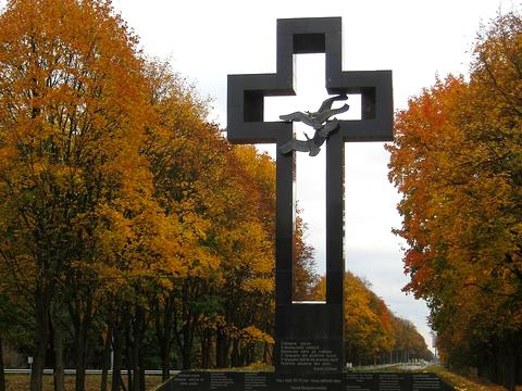 ділянка за адресою Київська вул., 36