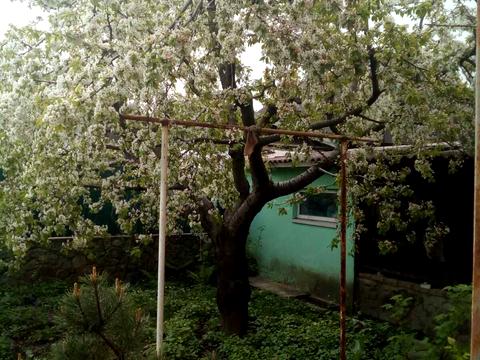 будинок за адресою Черняхівського вул.