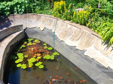 будинок за адресою Черняхівського вул.