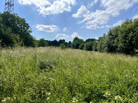 участок по адресу Бережани