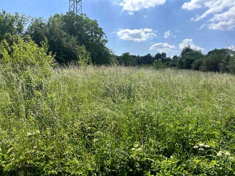 участок по адресу Бережани