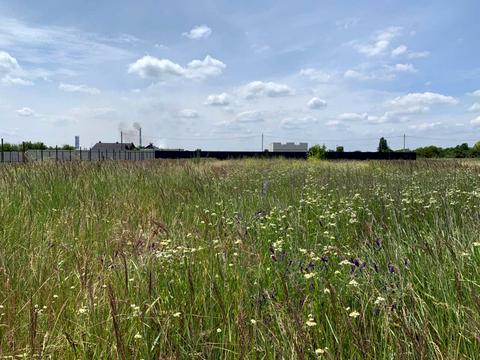 участок по адресу Фрунзе