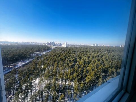 квартира по адресу Светлая ул., 3 к2