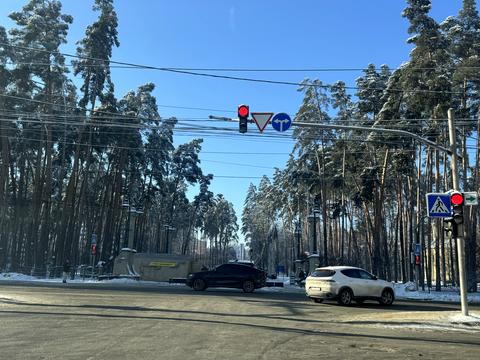 дом по адресу Василя Стуса ул. (Пушкинская)