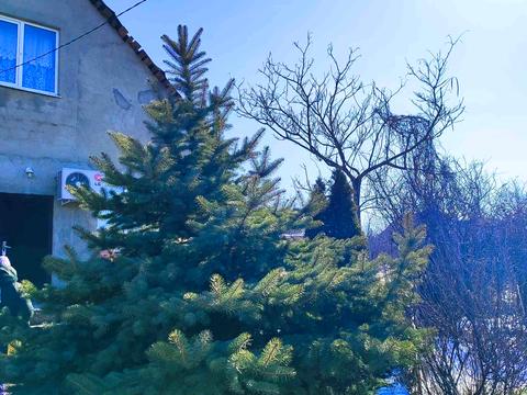 дом по адресу Щорса, 1