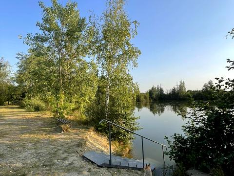 ділянка за адресою с. Черніїв, 