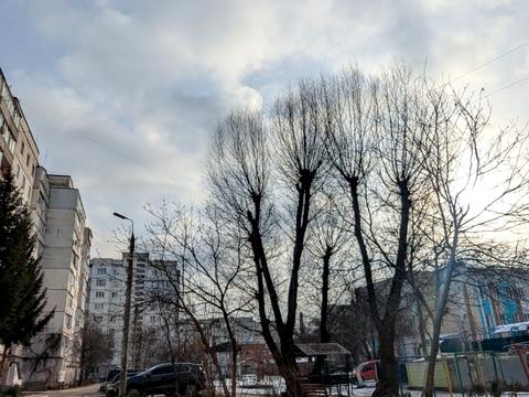 квартира по адресу Прибузька ул., 14