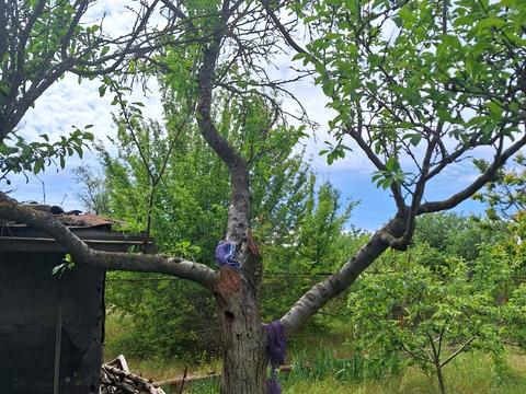 дом по адресу СК Медик