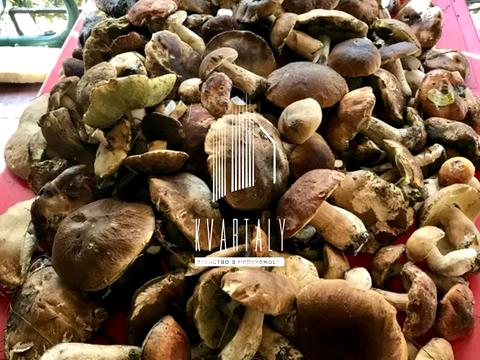 дом по адресу Лінія 11