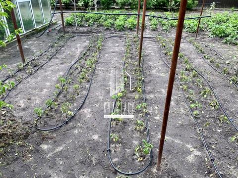 дом по адресу Лінія 11