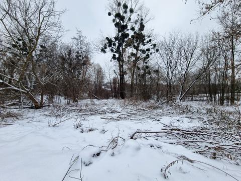 участок по адресу 