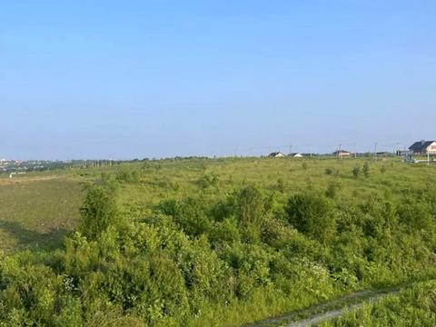 ділянка за адресою с. Грузевиця, Королівська