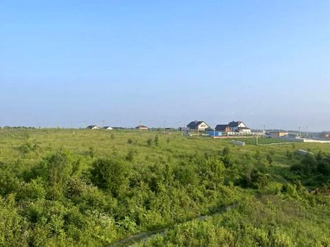 ділянка за адресою с. Грузевиця, Королівська