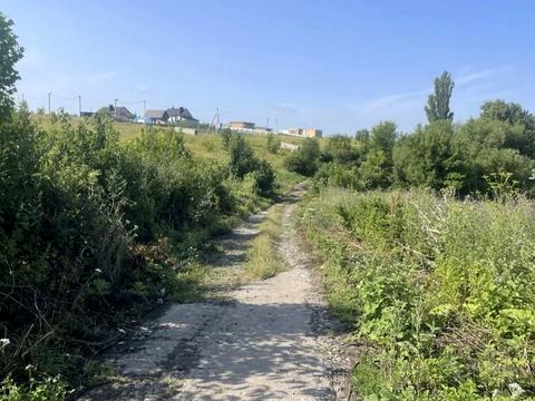 ділянка за адресою с. Грузевиця, Королівська