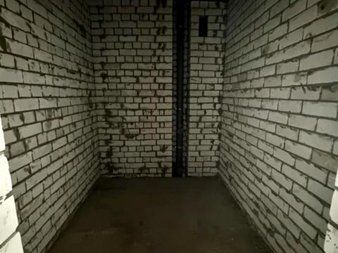 квартира по адресу Сумгаитская ул., 15/5