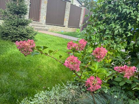 будинок за адресою Озерна