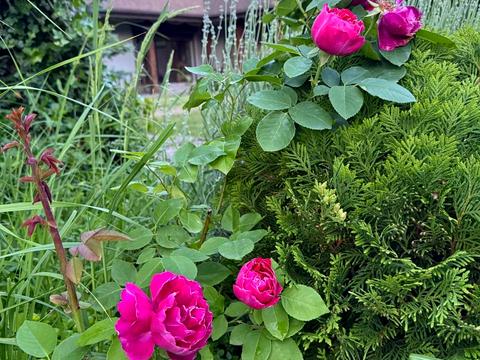 будинок за адресою Озерна