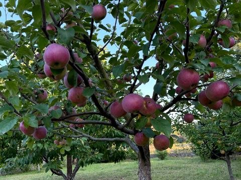 будинок за адресою Озерна