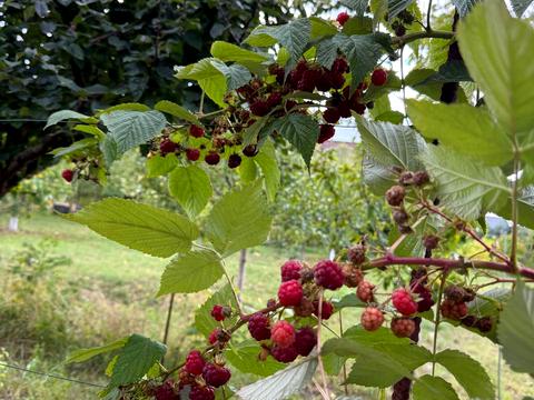 будинок за адресою Озерна